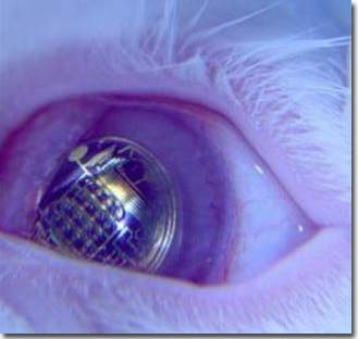 Electronic eyes look through space