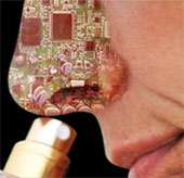 Electronic nose detects dangerous food