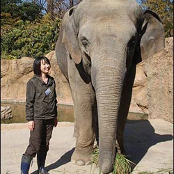 Elephants also know how to count