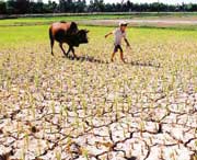 El-Nino will get worse
