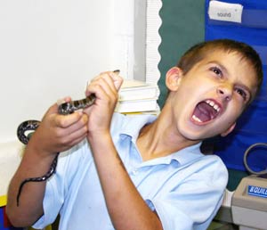 Emergency care when a child is bitten by a snake