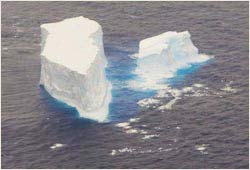 Emerging icebergs in New Zealand