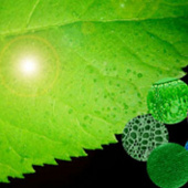 Energy from artificial leaves