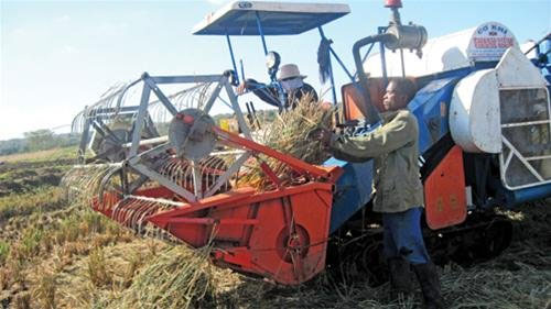 'Engineer' in the African field