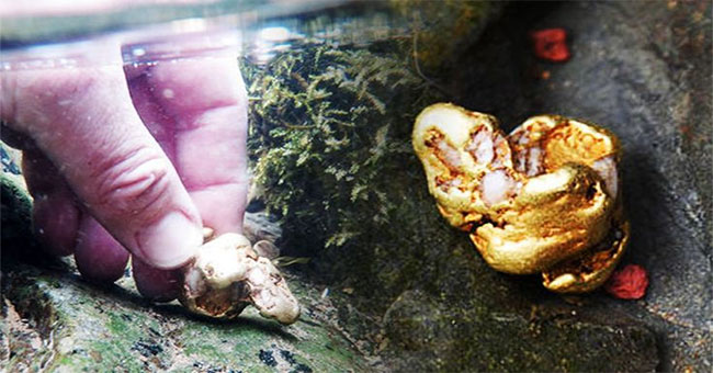 English: Found the largest natural gold bureau after 500 years, cost 1.5 billion