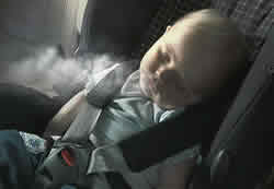 Environmental pollution increases the infant mortality rate