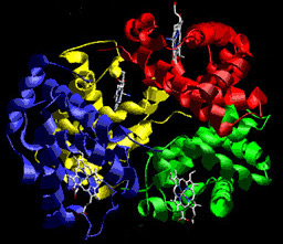 Enzyme detection prolongs post-traumatic pain