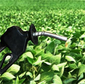EP supports the conversion of biofuel use