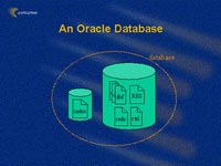 Errors in Oracle password protection system