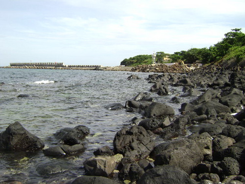 Establishment of Con Co island marine protected area