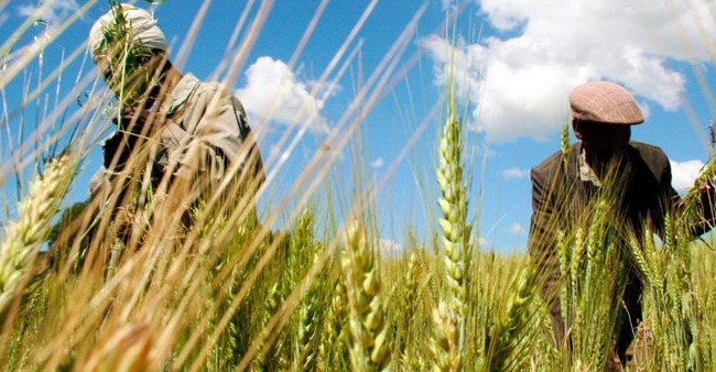 Ethiopia from the ashes becomes the fastest growing economy in the continent