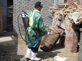 EU spent 28.3 million euros for bird flu research
