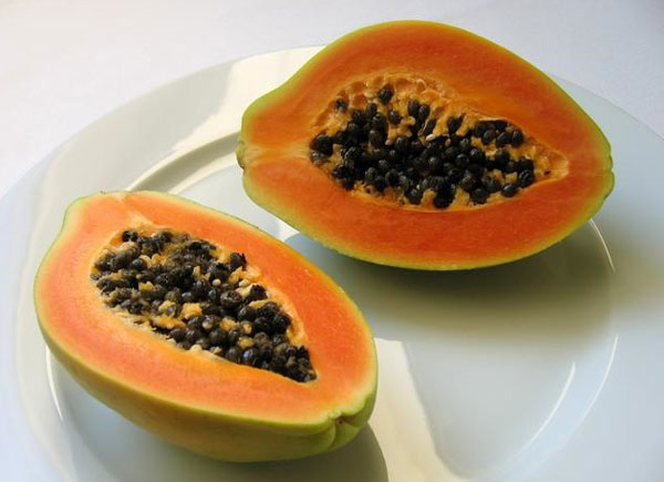 EU warns of transgenic papaya of Thailand