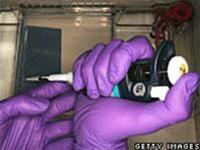 Europe alarmed about bird flu
