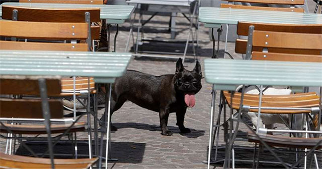 Europe faces a record heat wave