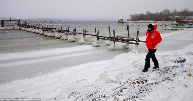 Europe sinks in the snow and ice between