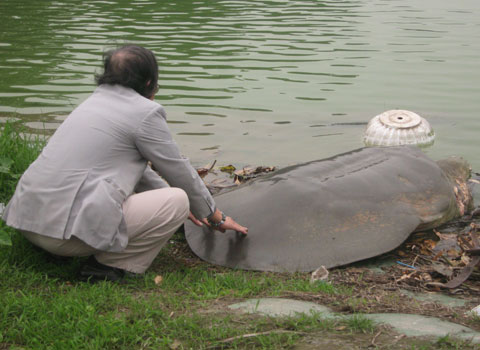 Europe wants to make Turtle film