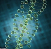 Europeans have white skin thanks to genetic modification