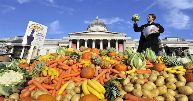 Europeans throw away 50 million tons of vegetables every year just because they look bad