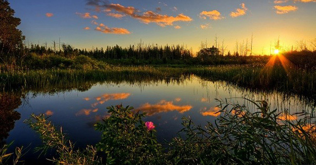 Everglades National Park - United States of America