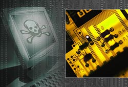 Every PC user in Vietnam lost nearly 500,000 VND annually