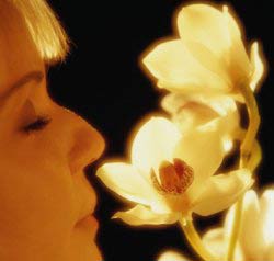 Everyone has a characteristic smell