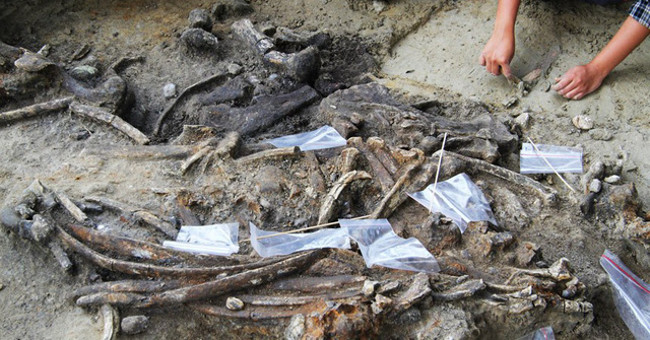 Evidence of the arrival of Philippine islanders 700,000 years ago