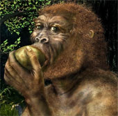 Evolution helps people drink alcohol