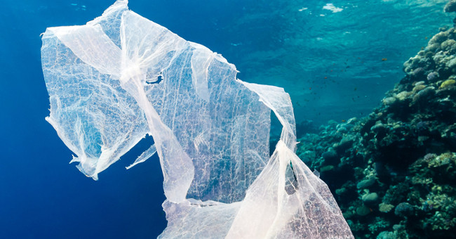 Evolutionary bacteria can eat plastic to contaminate the ocean