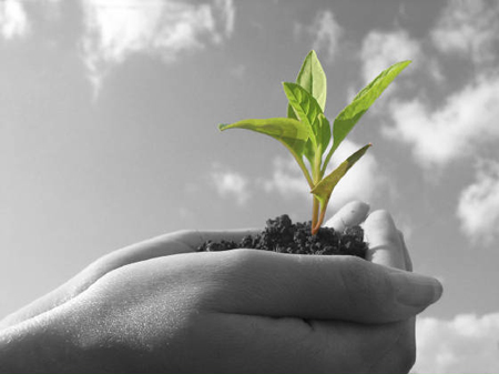 Exam creative ideas for the Vietnamese environment