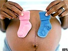 Examining the sex of the fetus when new ... 6 weeks old!