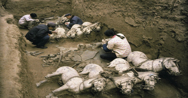 Excavating the tomb of Qin Shui Huang, discovering the animal world inside