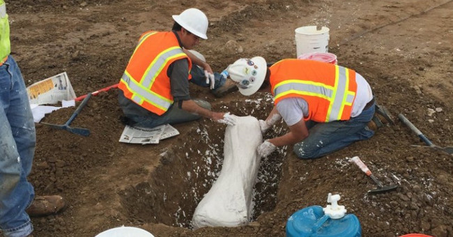 Excavation of 10,000 year old mammoth bones