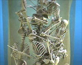 Excavation of 17 Jewish children bones