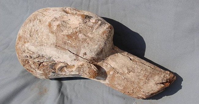 Excavation of a bustling wooden statue dating back 4,000 years in Egypt