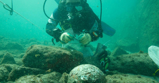 Excavation of shipwrecks for 500 years carrying