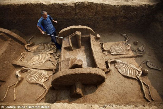 Excavation of the tomb dating back to 3000 years old