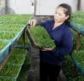 Exchange of German-Vietnamese biotechnology experiences
