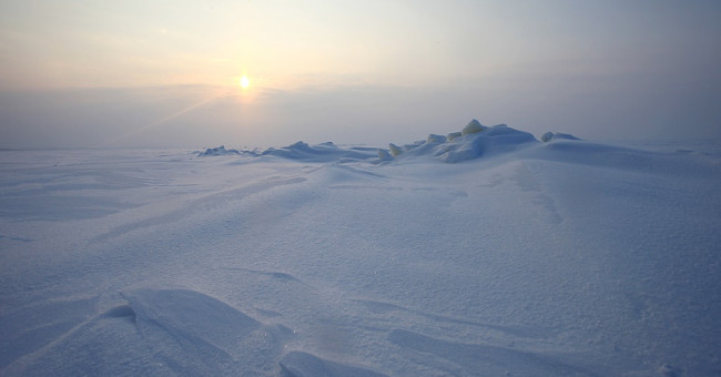 Exotic creatures in Antarctica: Science must rethink the search for extraterrestrial life