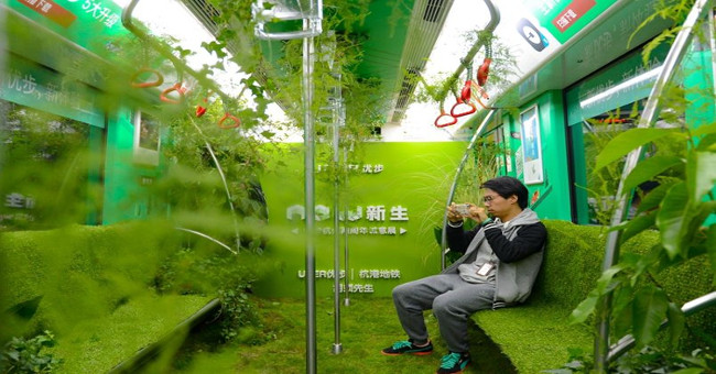 Experience 'one get two': take a train to visit 'jungle'