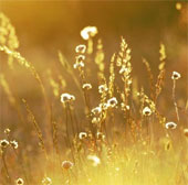 Experience photographing travel backlit