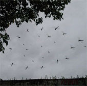 Experience the rain forecast in India