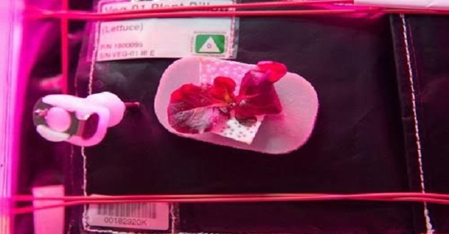 Experiments can bring people to Mars