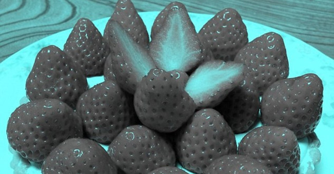 Explain the phenomenon of strawberry fruit deception