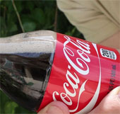 Explain why not eat Mentos candy with Coca cola