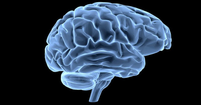 Explaining the phenomenon of human brain developing large size