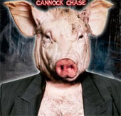 Explaining the phenomenon of the hideous Pig in Cannock Chase forest