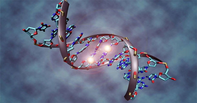 Explaining why CRISPR / Cas9 has not been effective in humans