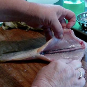 Explaining why fish lose their heads and still have a hard time