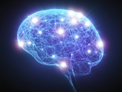 Explaining why women have a smaller brain than men